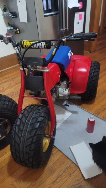 Near-complete Honda ATC 70 with ProTaper bars, blue tank, and red bodywork in the living room — black cat visible in the corner